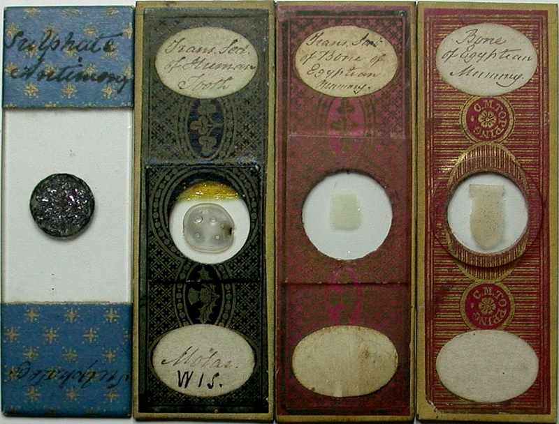 Illustration for article titled Even Victorian microscope slides were beautifully ornate